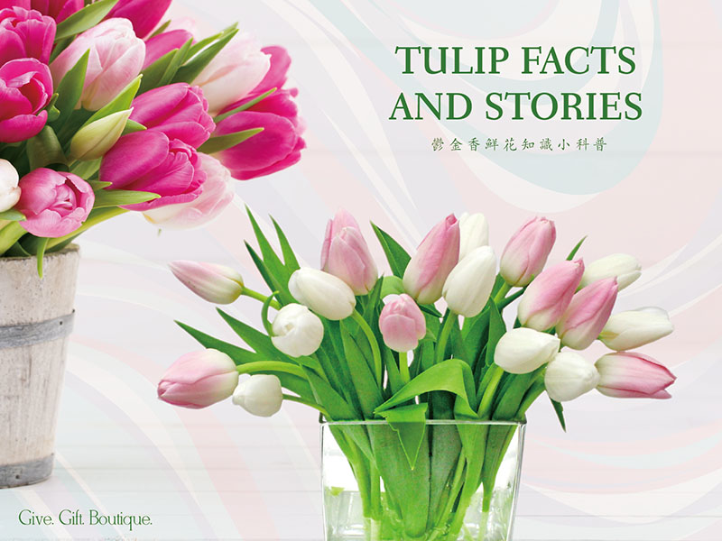 Tulip Facts and Stories